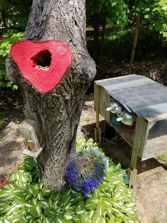 Kountry Living Bed And Breakfast Oneonta Bagian luar foto