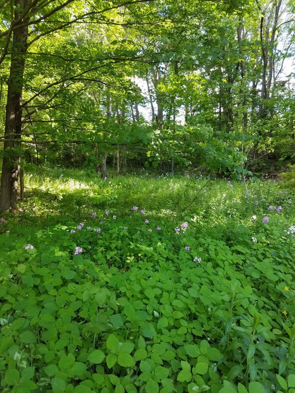 Kountry Living Bed And Breakfast Oneonta Bagian luar foto