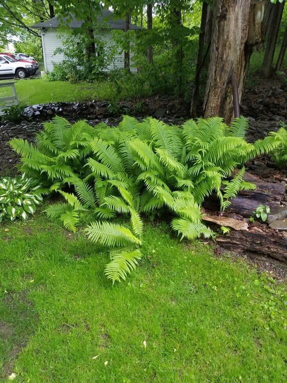Kountry Living Bed And Breakfast Oneonta Bagian luar foto
